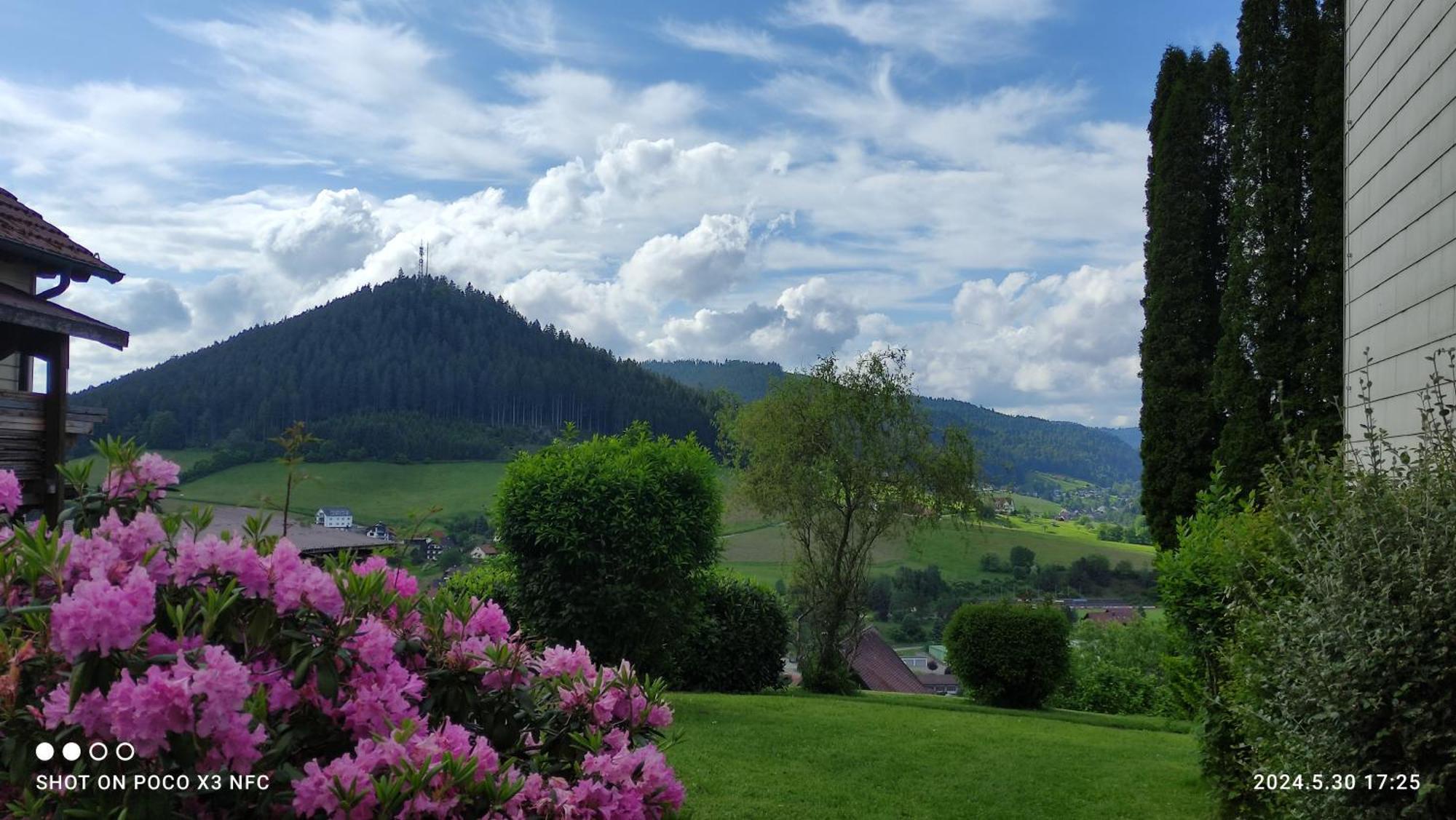 Traumblick Fewo Mit Pool Baiersbronn Exterior foto