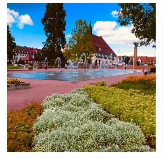 Traumblick Fewo Mit Pool Baiersbronn Exterior foto